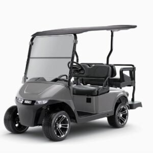2026 E-Z-GO Freedom RXV • Gas • Slate • Street-Ready and American-Built - For Sale at Larrysgolfcarts