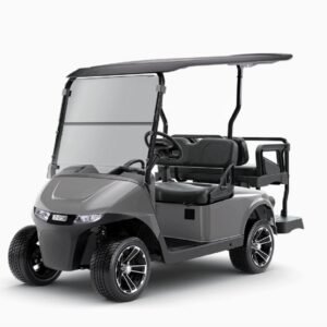 2026 E-Z-GO Freedom RXV • Gas • Slate • Street-Ready and American-Built - For Sale at Larrysgolfcarts