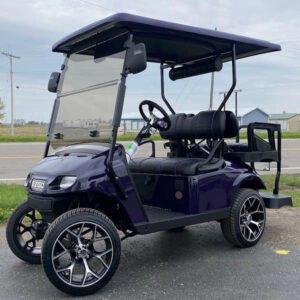 2018 E-Z-GO Gas TXT, Crown Royal Purple - For Sale at Larrysgolfcarts
