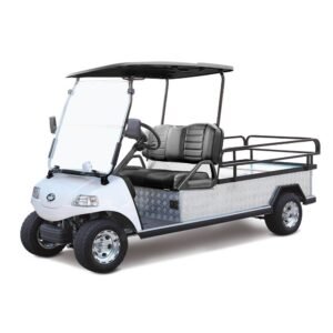 Evolution Turfman 1000 - For Sale at Larry's Golf Carts